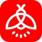 火萤动态壁纸