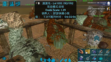 方舟生存进化怎么选渡渡鸟