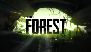 森林之子作弊码汇总大全