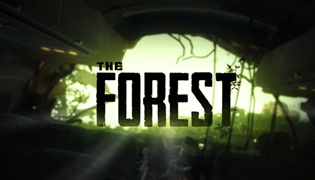 森林之子快捷键汇总一览