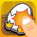 小鸡爆蛋 V2.1
