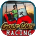 高尔夫车大赛