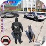 警察犯罪警车追逐