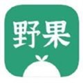 holeio游戏