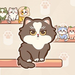 小猫喵喵喵